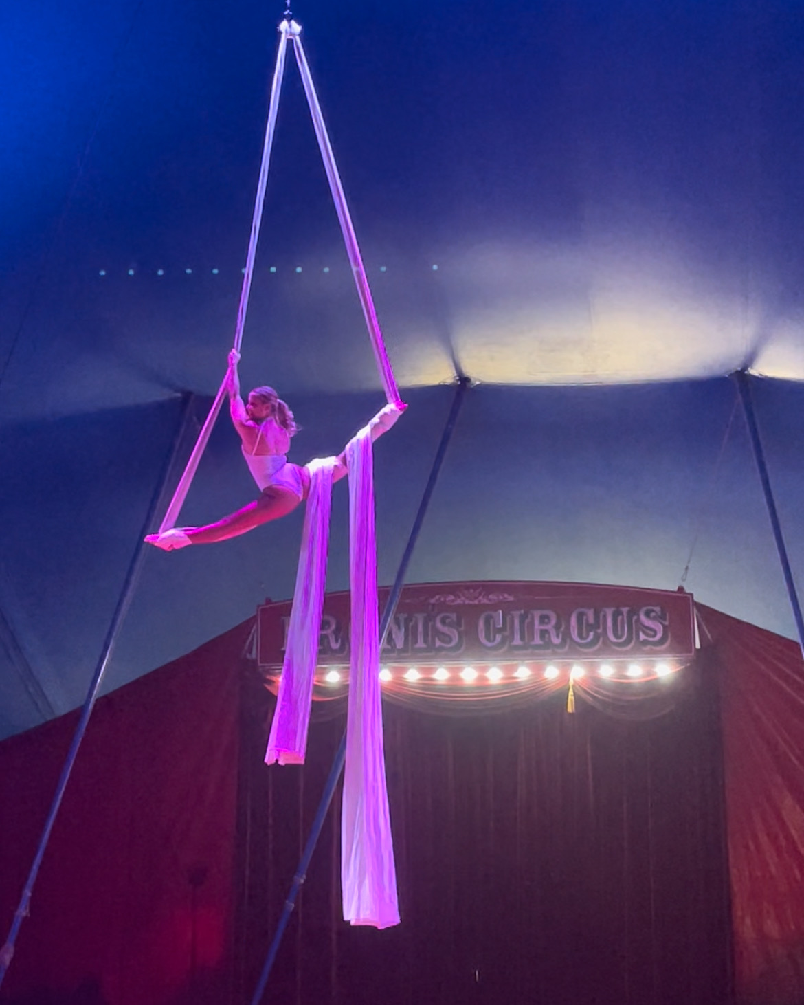 Book Aerialist (Hoop, Silks, Dance Trapeze, Hammock/sloop) Trapeze or
