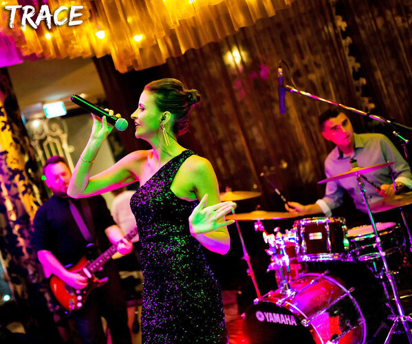 Book Trace Trio - Cover Band, Brisbane